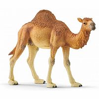 Schleich Dromedary