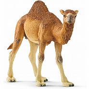 Schleich Dromedary