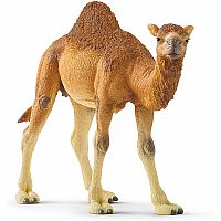 Schleich Dromedary