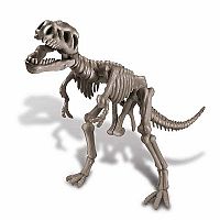 4M Dig a Dino Skeleton - Tyrannosaurus Rex