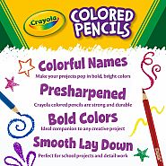 Crayola 12 Erasable Coloured Pencils