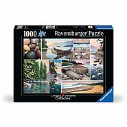 Ravensburger 1000 Piece Jigsaw Puzzle: West Coast Tranquility