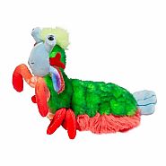 Punchie the Peacock Mantis Shrimp