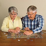Cobble Hill 275 Piece Jigsaw Puzzle - Secret Rendezvous