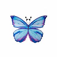 Great Pretenders Mythical Butterfly Soft Wings (size 4-6)