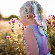 Rainbow Sequins Skirt, Wings and Wand