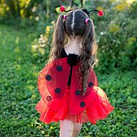 GREAT PRETENDERS LADYBUG FAIRY SET
