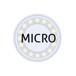 MICRO